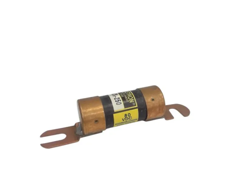 BUSSMANN ACK-250 保險絲