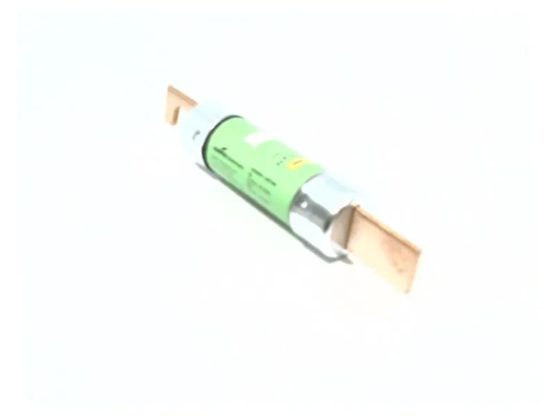 FRN-R-100 保險絲（BUSSMANN品牌）