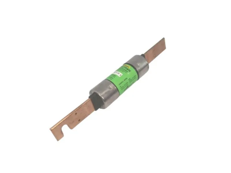 FRS-R-100 保險絲（BUSSMANN品牌）