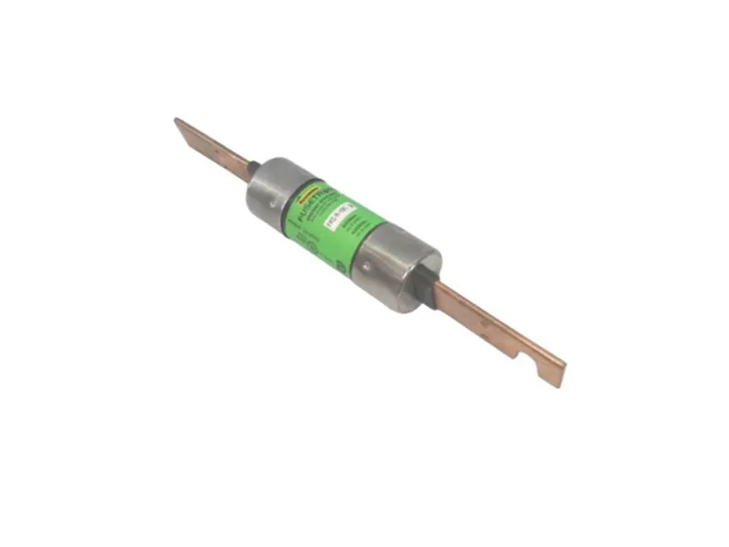 FRS-R-100 保險絲（BUSSMANN品牌）