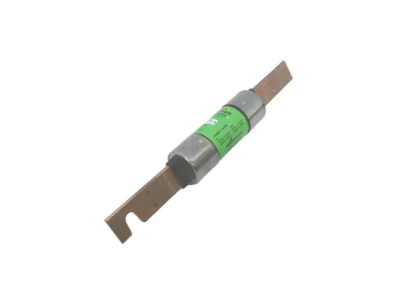 FRS-R-100 保險絲（BUSSMANN品牌）