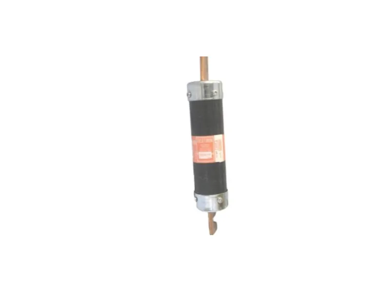 FRS-R-110 保險絲（BUSSMANN品牌）