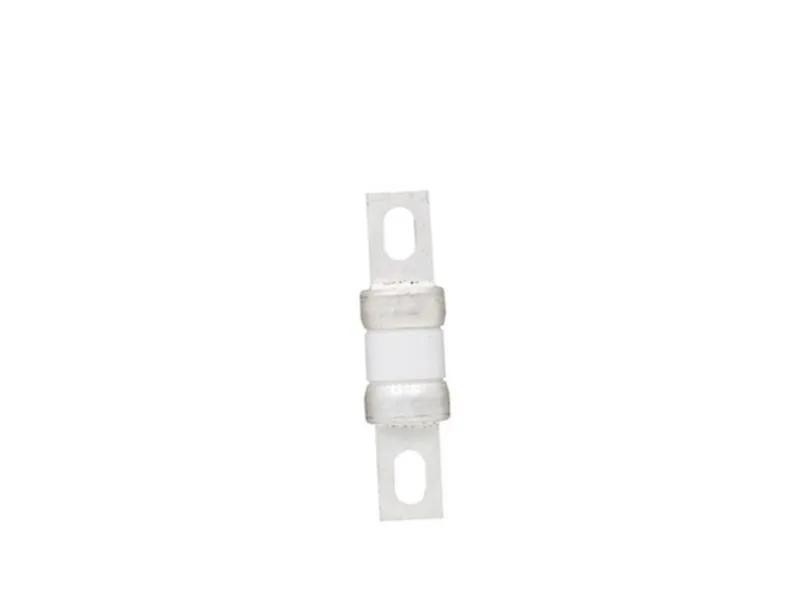 BUSSMANN FWP-125 保險絲