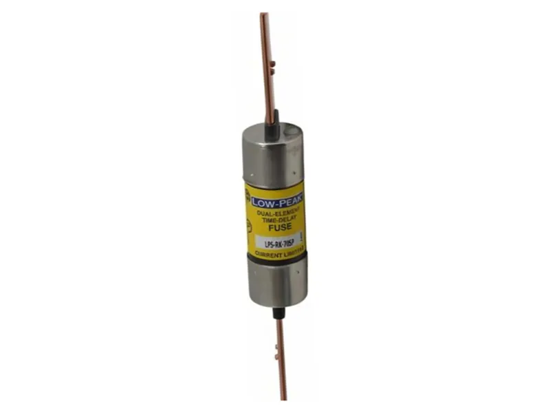LPS-RK-70SP 保險絲（BUSSMANN品牌）