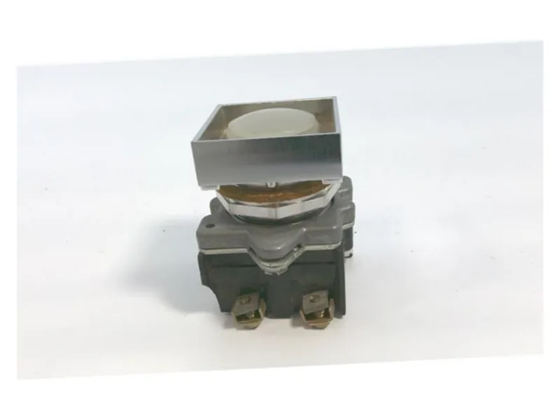 CUTLER HAMMER製造的E30BW按鈕