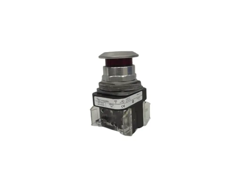 ALLEN BRADLEY 800T-FXQ24RA1 按鈕