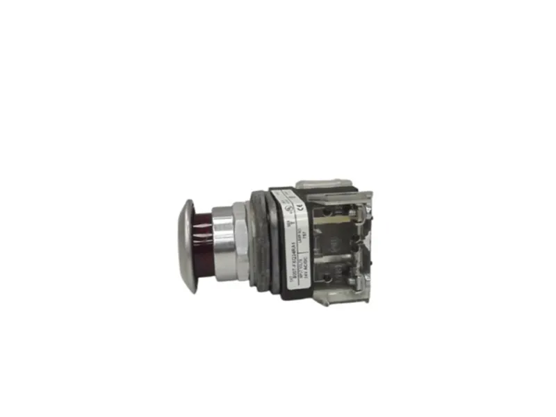 ALLEN BRADLEY 800T-FXQ24RA1 按鈕