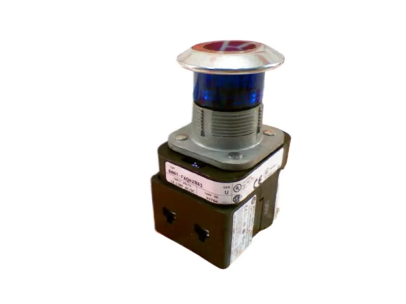 ALLEN BRADLEY 800T-FXQH2BA1 按鈕