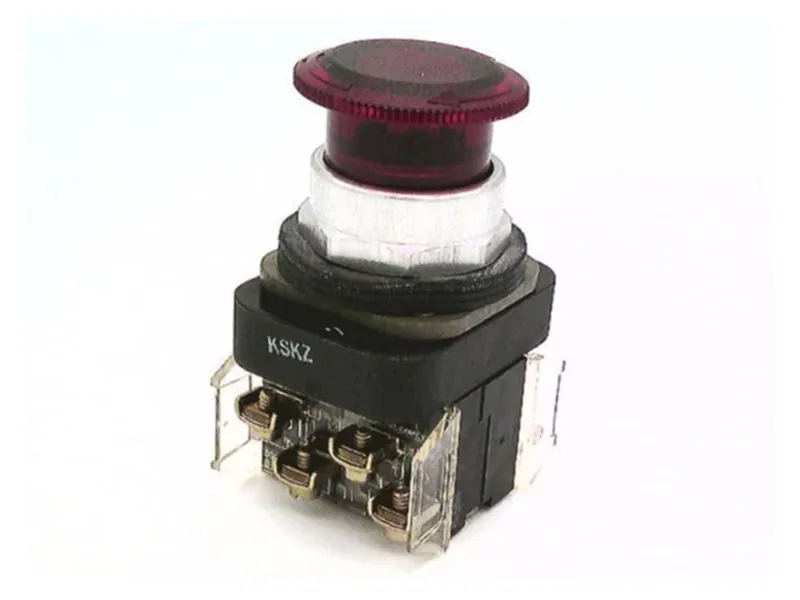 ALLEN BRADLEY 800T-FXTQ24RA 按鈕