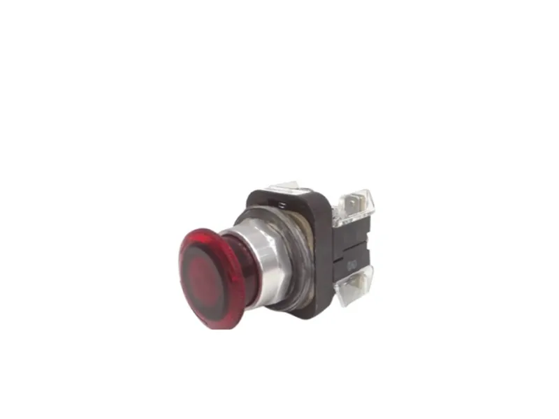 ALLEN BRADLEY 800T-FXTQ24RA1 按鈕
