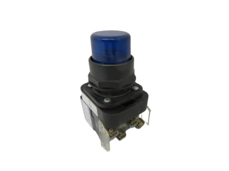 ALLEN BRADLEY 800H-QRBH2B 按鈕