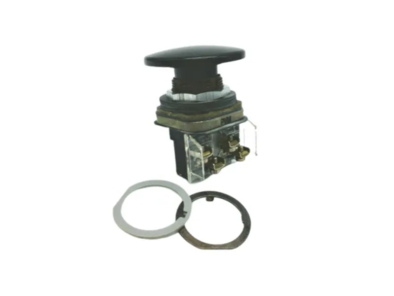 ALLEN BRADLEY 800T-D2JA 按鈕