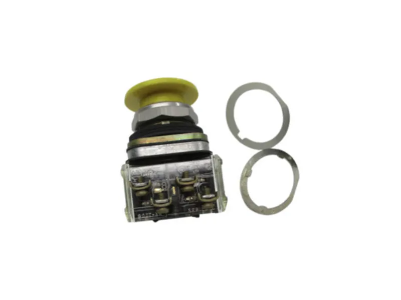 Nút bấm ALLEN BRADLEY 800T-D9B