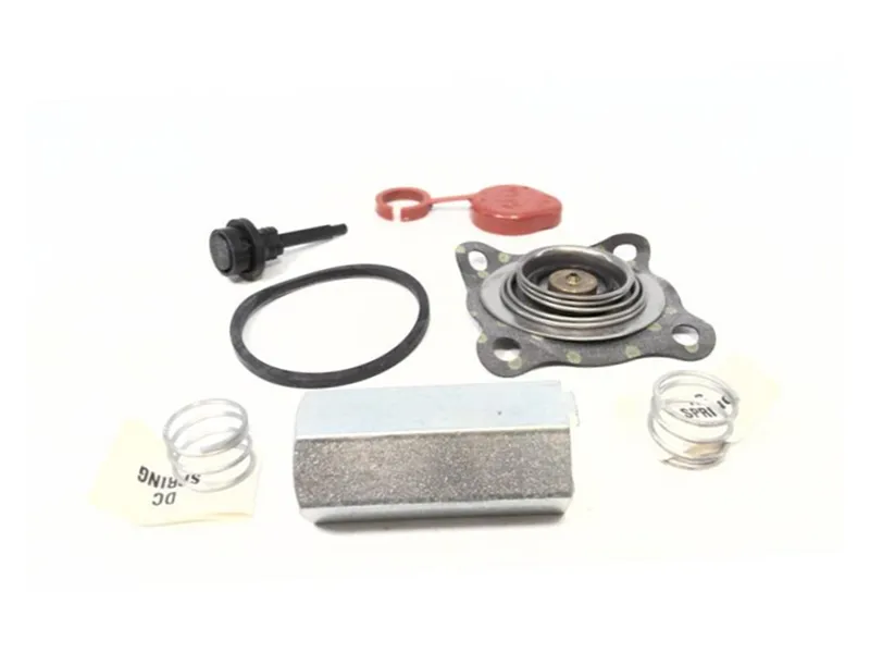 ASCO 103-291 Valve Repair Kit