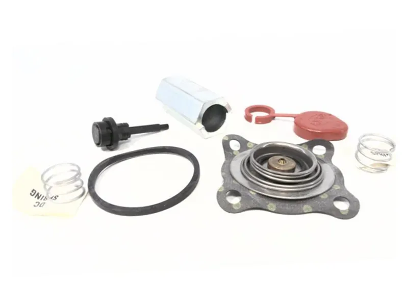 ASCO 103-291 Valve Repair Kit