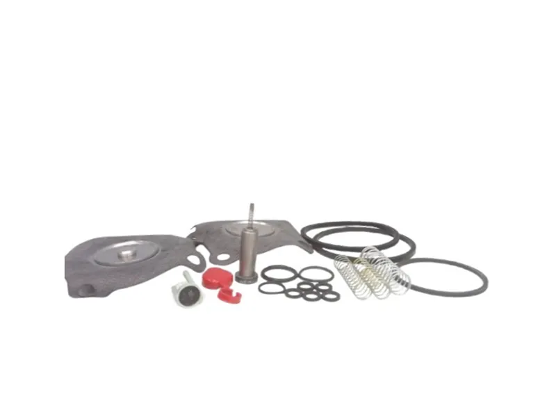 Kit di riparazione valvola pneumatica ASCO 103213 / Kit di tenuta