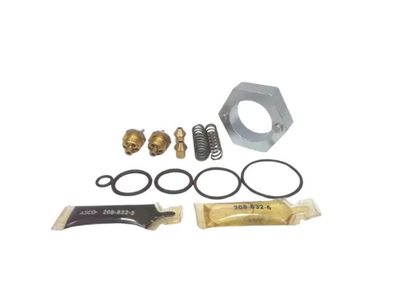 ASCO 210-104 Valve Repair Kit
