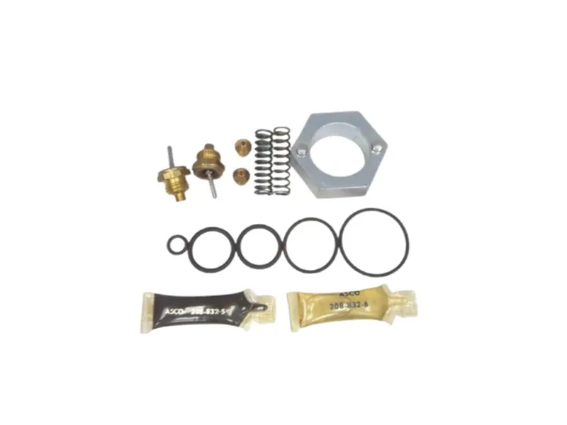 ASCO 210-104 Valve Repair Kit