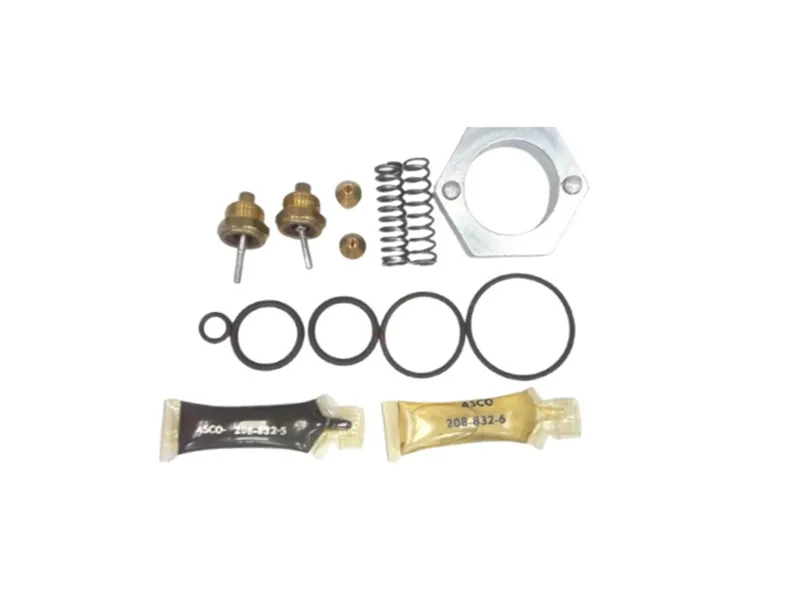 ASCO 210-104 Valve Repair Kit