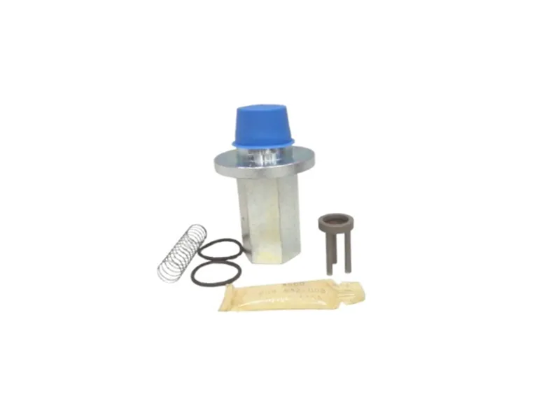 ASCO 212-499 Valve Repair Kit