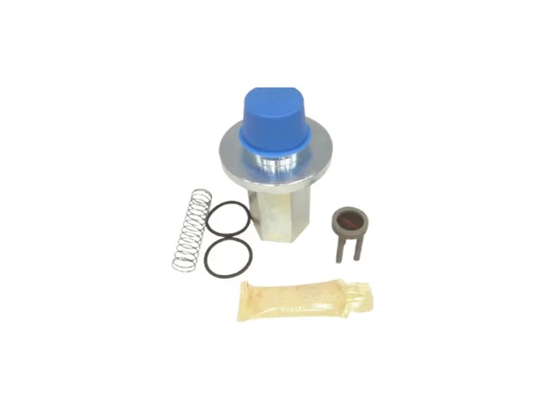 ASCO 212-499 Valve Repair Kit