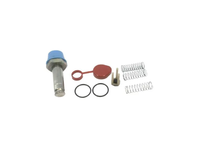 ASCO 304024 Pneumatic Valve Rebuild Kit / Seal Kit