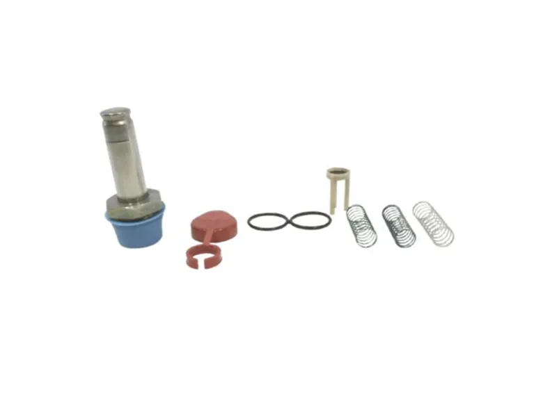 ASCO 304024 Pneumatic Valve Rebuild Kit / Seal Kit
