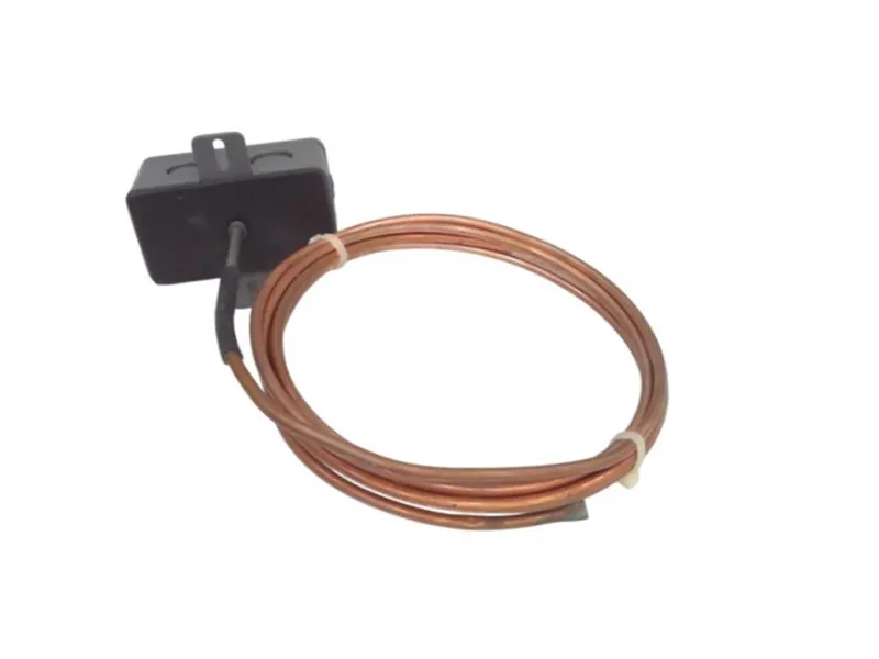 A/CP-A-12'-PB Termistore/Limitatore di corrente di AUTOMATION COMPONENTS INC