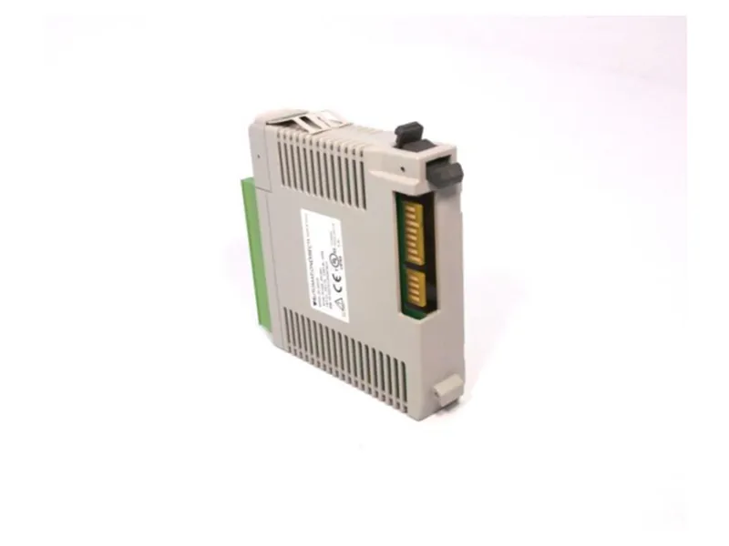 P2-06RTD VDC Logic I/O Module by AUTOMATION DIRECT