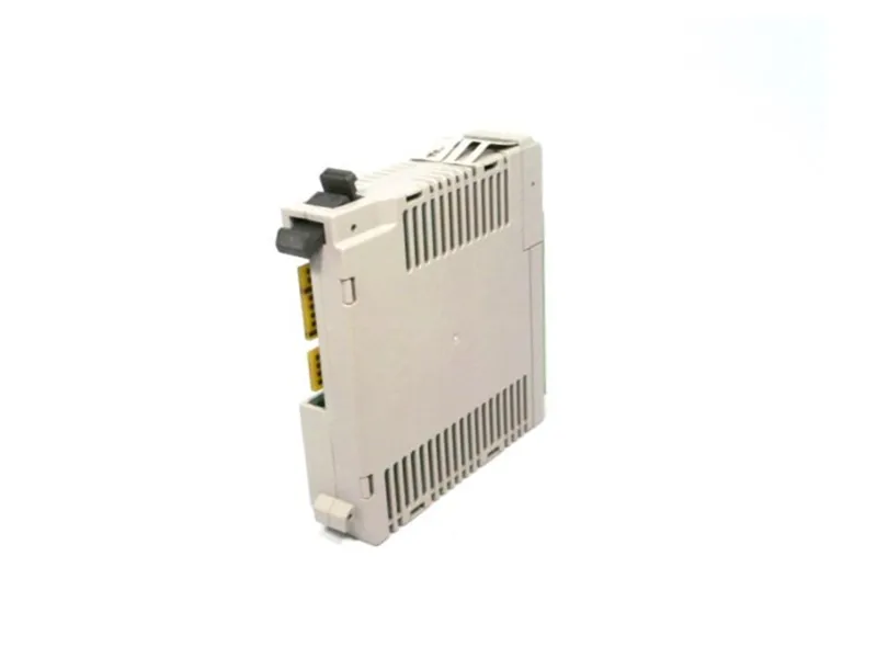 P2-06RTD VDC Logic I/O Module by AUTOMATION DIRECT