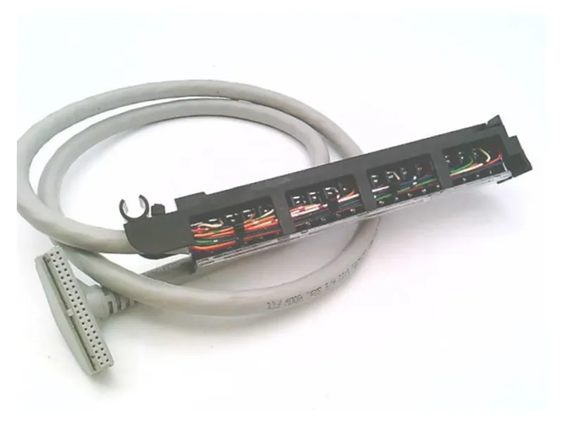 ALLEN BRADLEY 1492-CABLE010M 電腦網路電纜