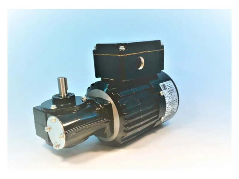 BODINE ELECTRIC 1487齒輪馬達