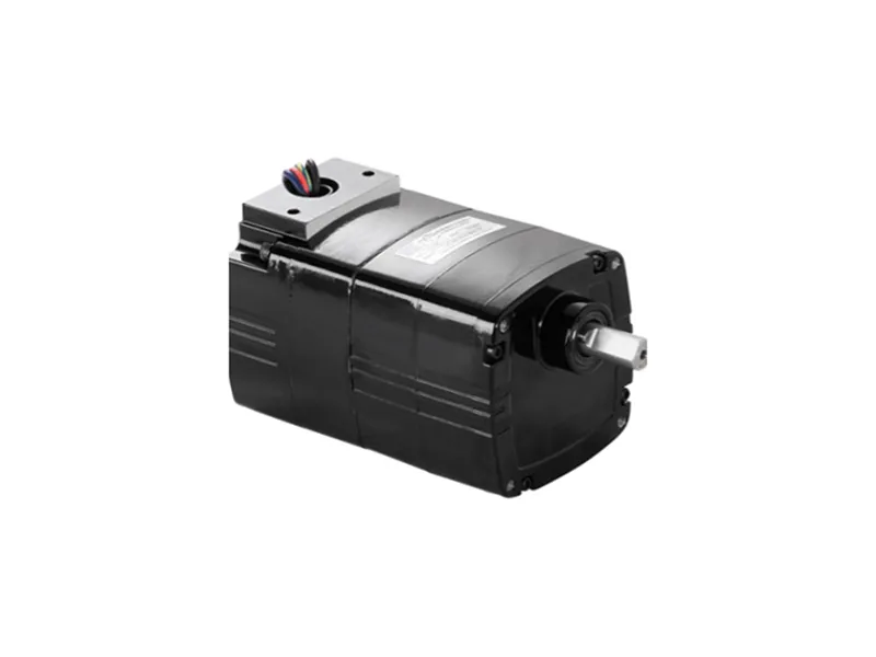 BODINE ELECTRIC 2218齒輪馬達