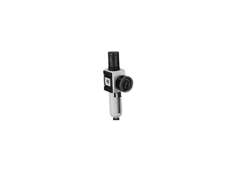R412006209 Bộ lọc điều áp khí nén AVENTICS