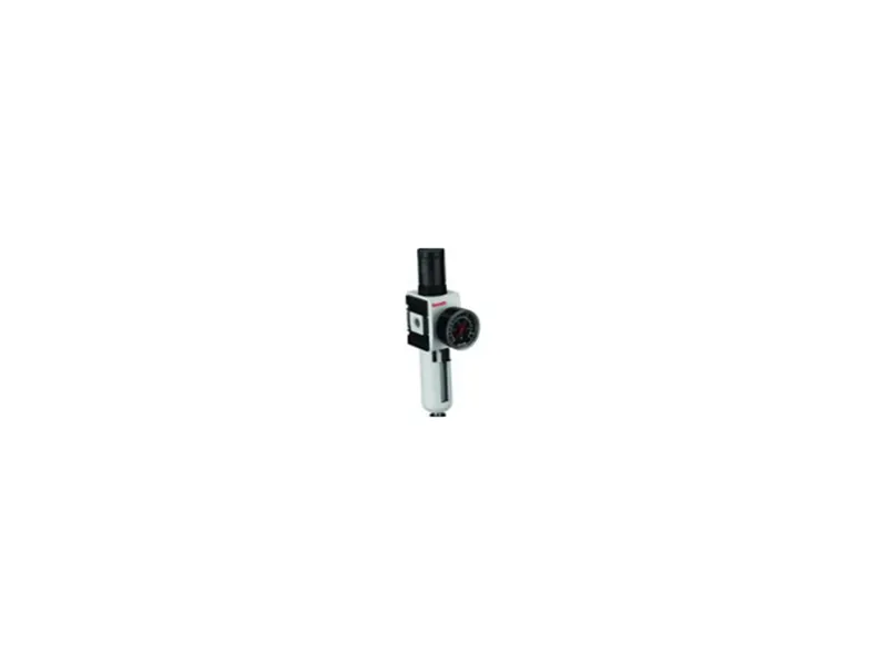 R412006209 Bộ lọc điều áp khí nén AVENTICS