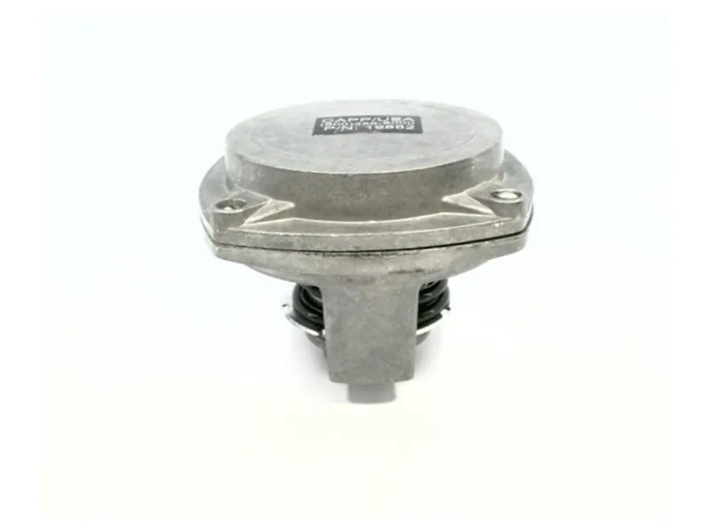 Pneumatische actuator CAPP 19882