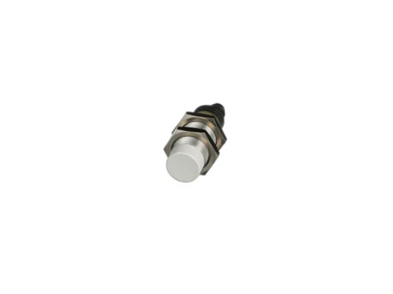 EI1808TBOSS Inductive Sensor by CARLO GAVAZZI