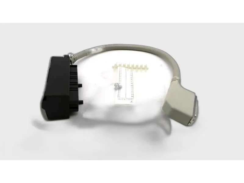 1492-CONACAB005D Drive Cable and Accessory by ALLEN BRADLEY