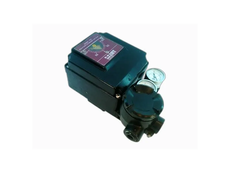 EPR-1000 Manomètre pneumatique par TRIAC