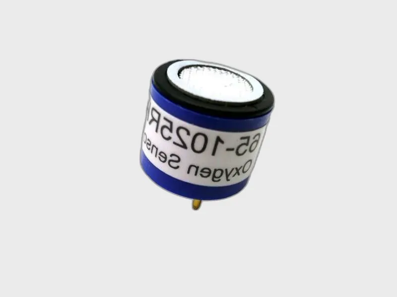 65-1025RK Sonde d'oxygène par RKI INSTRUMENTS