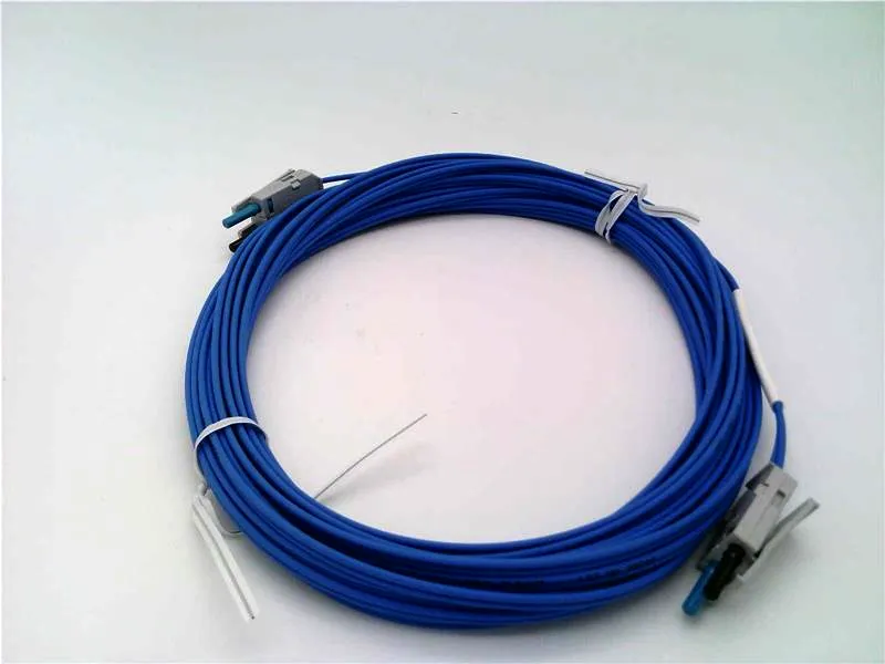 1786-FS10 PLC電池/電纜/配件 由 ALLEN BRADLEY