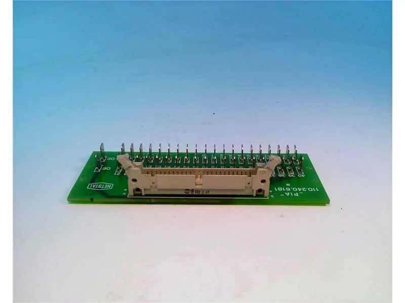 110.240.6181 printplaat PLC/uitbreidingskaart door NETSTAL