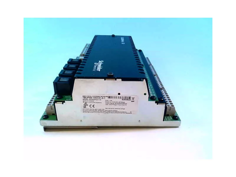 TBUP4B-1W2-01-0-1 PLC模組/機架 由 CONTROL MICROSYSTEMS 製造