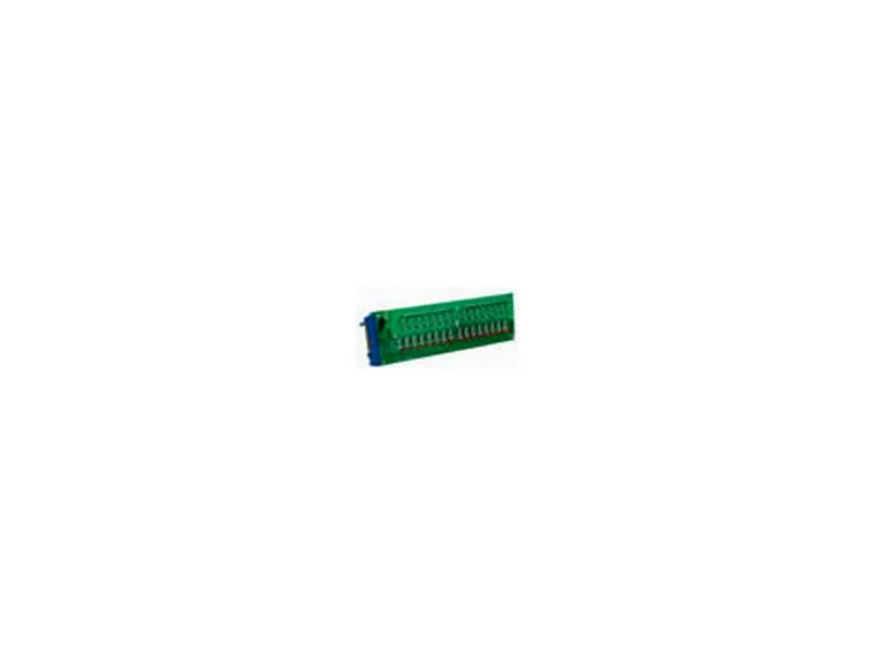 Modulo/Rack PLC PB-32C4 di CRYDOM