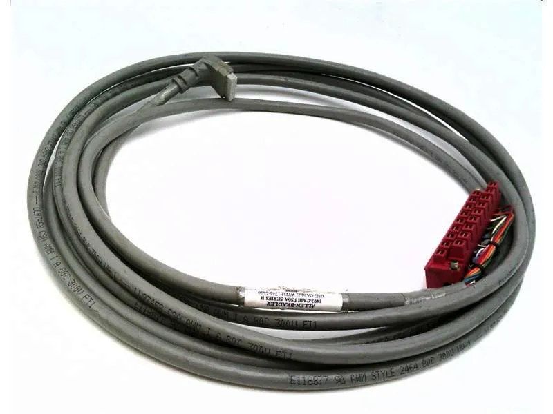 1492-CABLE-50A PLC模組/機架 由 ALLEN BRADLEY 製造
