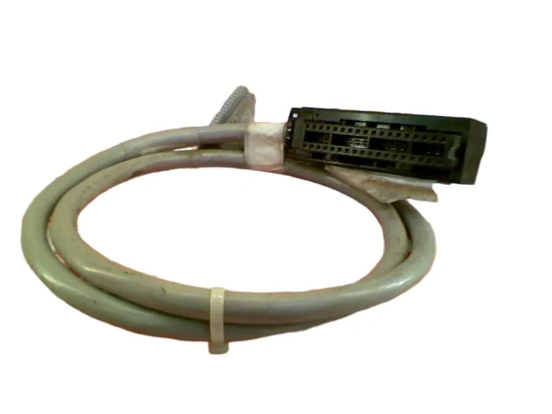 1492-CABLE10J PLC模組/機架 由 ALLEN BRADLEY 製造