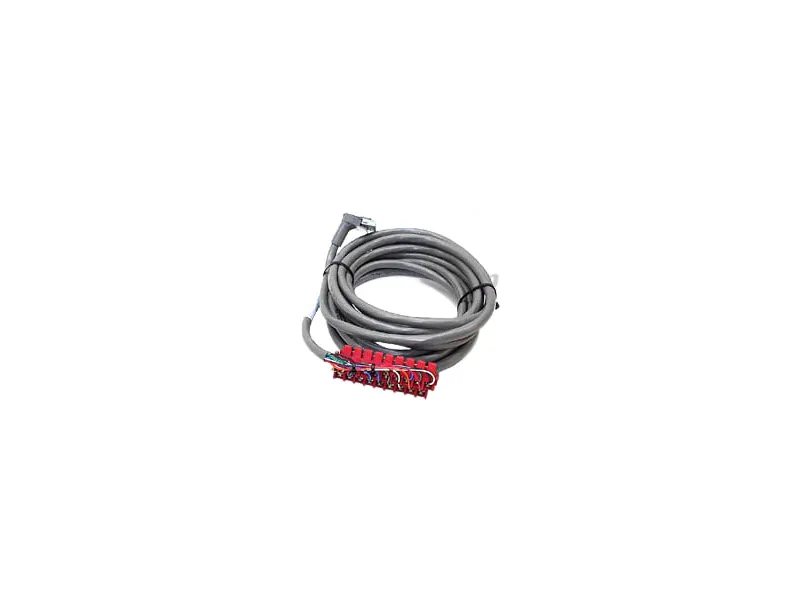 1492-CABLE50C PLC模組/機架 由 ALLEN BRADLEY 製造
