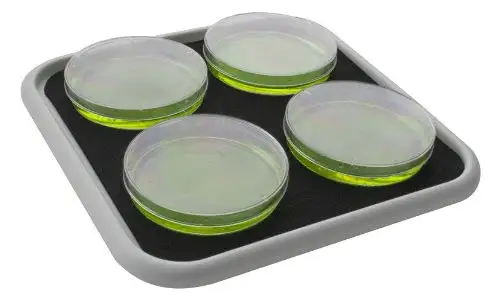 Grant Instruments BIO-PP-4 Piattaforma piatta con tappetino in gomma antiscivolo 230 mm di lunghezza x 230 mm di larghezza per agitazione orbitale