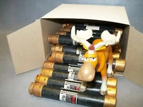 Bussmann Frs-R-25 25 Amp Class Rk5 600 Volts Fuses