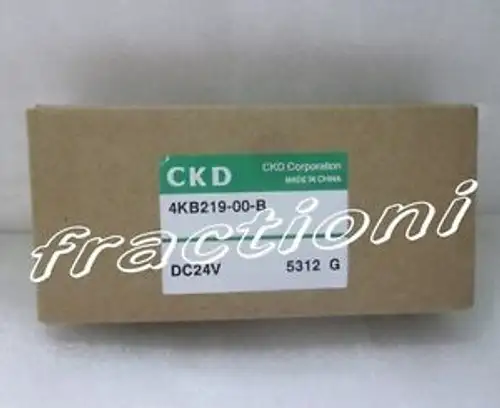 Ckd 4Kb219-00-B Dc24V ソレノイドバルブ
